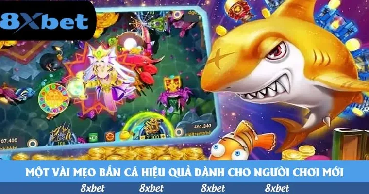 Bí mật đằng sau bet188 link alternatif: Một hành trình khám phá đến cuối cùng