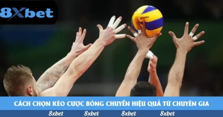 Sunwin có uy tín không? Nhận định bất ngờ từ 8xbet