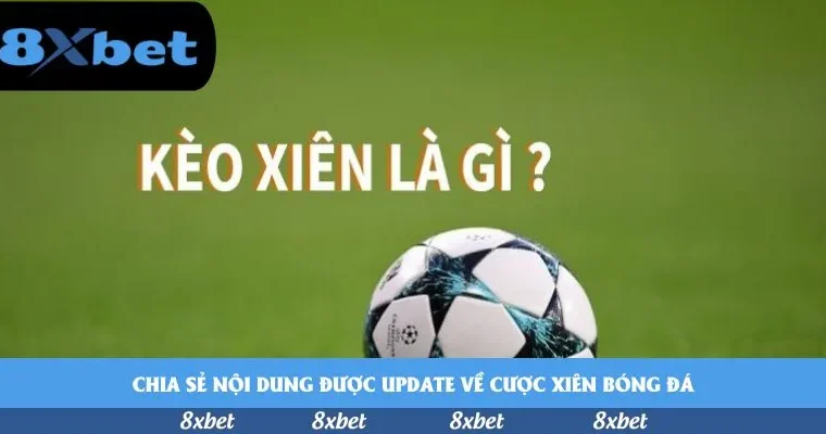 Link vs Bet: So sánh chi tiết từ góc nhìn chuyên gia