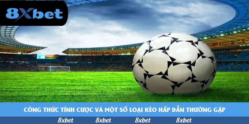 8xbet - đăng ký nhà cái