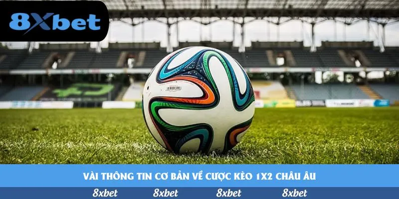8xbet - sunwin có uy tín không
