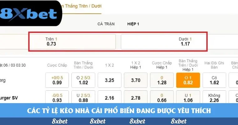 Cách chơi cá độ bóng đá luôn thắng: Bí mật từ người trong ngành