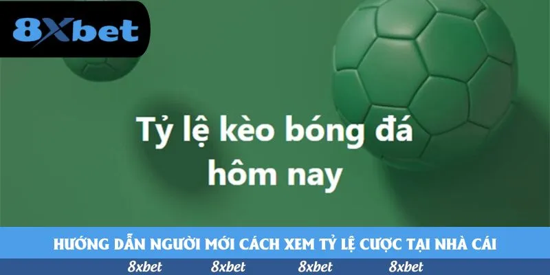 8xbet - kubet lô đề
